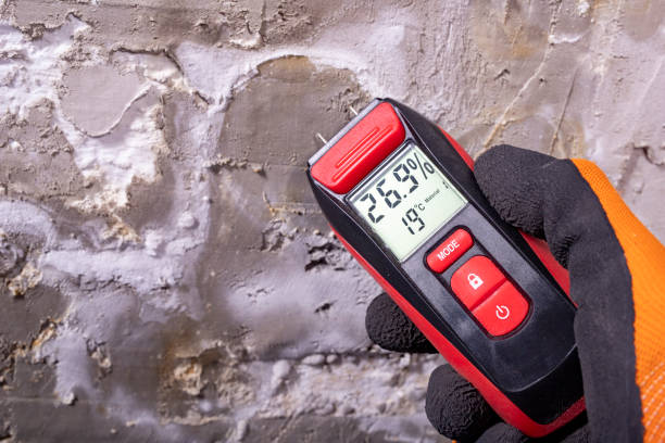 Best Emergency Mold Remediation in Calhoun, GA