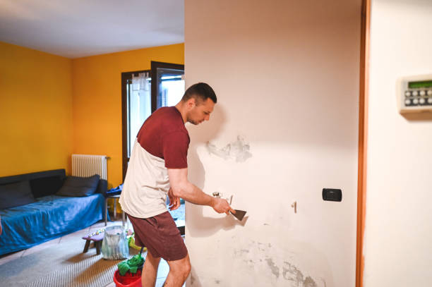 Professional Mold Remediation in Calhoun, GA